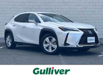 レクサス ＵＸ 250h バージョンC ナビ 全方位カメラ BSM パワーバックドア