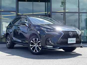レクサス ＮＸ 300h Fスポーツ ナビ/黒革温冷シート/三眼LED/全周囲/BSM