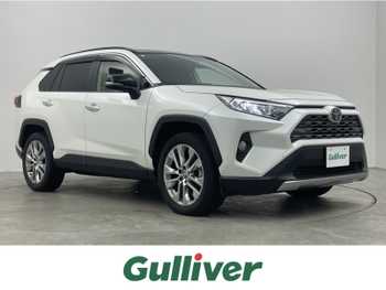 トヨタ ＲＡＶ４ G Zパッケージ 純正9型ナビ パノラマルーフ バックカメラ