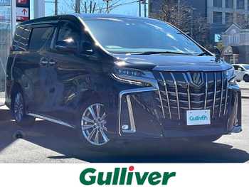 トヨタ アルファード S タイプゴールドⅡ 衝突軽減ブレーキ・純正ナビ・バックカメラ