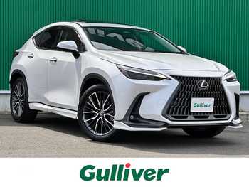 レクサス ＮＸ 250 バージョンL サンルーフ デジタルミラー 全周囲カメラ