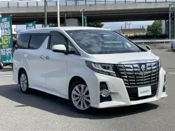 トヨタ アルファード S 純正ナビ TV Bカメラ フリップダウン ETC