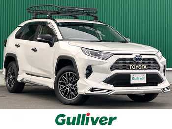 トヨタ ＲＡＶ４ ハイブリッドG モデリスタ 純正ナビ 全方位カメラ 地デジ