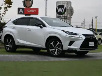 レクサス ＮＸ 300h ブラックシークエンス 純正ナビ BSM ETC Bカメ 100V ACC  左カメ