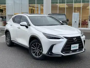 レクサス ＮＸ 250 バージョンL 純正ナビ TV パノラマモニター サンルーフ