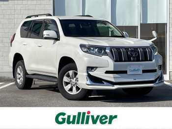 トヨタ ランドクルーザー プラド TX 社外ナビ 4WD ETC モデリスタ ドラレコ