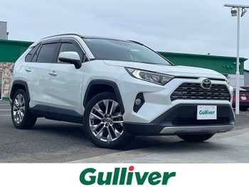 トヨタ ＲＡＶ４ G Zパッケージ 1オーナ ムーンルーフ Dミラー9型ナビ 合皮