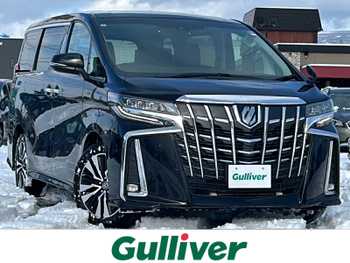 トヨタ アルファード S Cパッケージ ナビ/ドラレコ/寒冷地/デジタルインナミラ