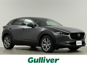マツダ ＣＸ－３０ 20S プロアクティブ 純正8型ナビ 全周囲 電動リアドア BSM  ETC