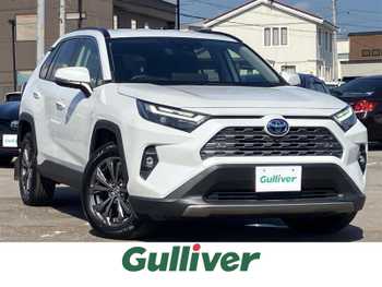トヨタ ＲＡＶ４ ハイブリッドG ナビ/TV/衝突軽減/全方位カメラ/寒冷地/ETC
