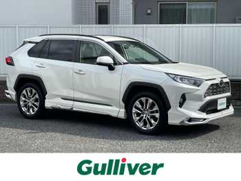 トヨタ ＲＡＶ４ G Zパッケージ ナビ Bカメ 衝突軽減ブレーキ ETC