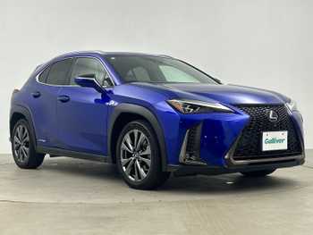 レクサス ＵＸ 250h Fスポーツ サンルーフ 純正ナビ 全方位カメラ ETC BSM