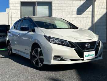 日産 リーフ G 1オーナー 純正ナビ ETC シートヒーターDN