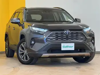 トヨタ ＲＡＶ４ ハイブリッドG 禁煙車 ナビ 全方位 黒革 電動バックドア