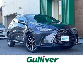 レクサス ＮＸ 250 バージョンL 禁煙車 純正ナビ 衝突軽減 全方位 BSM 赤革