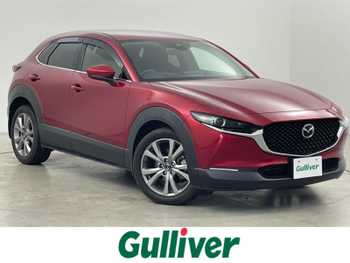 マツダ ＣＸ－３０ XD プロアクティブツーリングセレクション 純正ナビ 衝突軽減 パワーバックドア ETC　