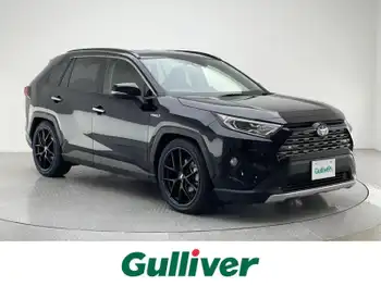 トヨタ ＲＡＶ４ ハイブリットG 社外ナビ Bカメラ ETC クルコン BSM LKA