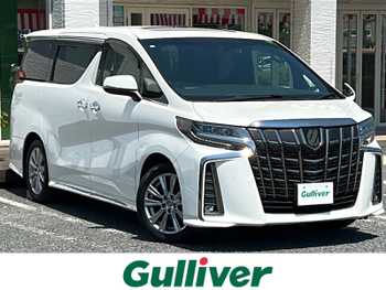 トヨタ アルファード S タイプゴールド SR ナビ 天吊りモニター Bカメ 両側電動