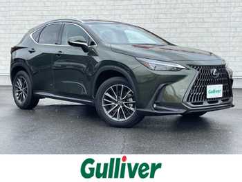 レクサス ＮＸ 350h サンルーフ 純正12型ナビ 全周囲カメラ BSM