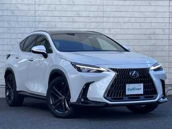 レクサス ＮＸ 250 バージョンL Pルーフ/白黒革席/MOPナビ/全カメ/レダクル