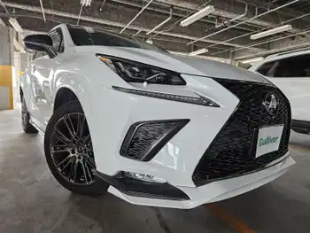 レクサス ＮＸ 300 Fスポーツ 純正ナビ フルセグ ETC クルコン TRDエアロ