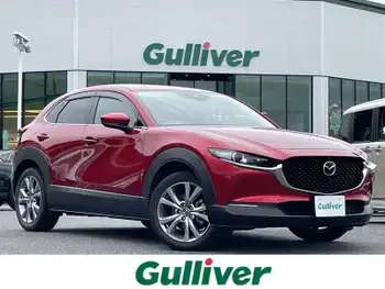マツダ ＣＸ－３０ XD プロアクティブ 取説/純ナビ/BT/全周囲カメラ/追クルコン