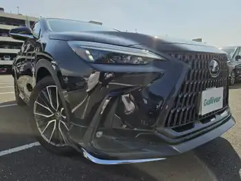 レクサス ＮＸ 250 純正ナビ フルセグ ETC クルコン 禁煙車