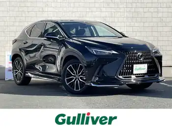 レクサス ＮＸ 250 モデリスタ 純正ナビ ETC2.0 クルコン BSM