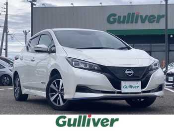 日産 リーフ e+ X ナビ 全方位カメラ プロパイロット　ETC2.0