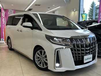 トヨタ アルファード S タイプゴールド 禁煙 1オナ 純ナビ 全方位 黒革  天吊画面
