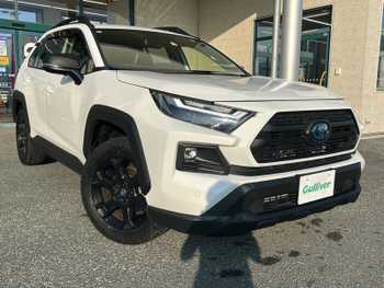 トヨタ ＲＡＶ４  純正Dオーディオ/Bカメラ/パワーバックドア