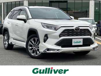 トヨタ ＲＡＶ４ G Zパッケージ 純正ナビ  Bカメラ  クルコン  衝突軽減