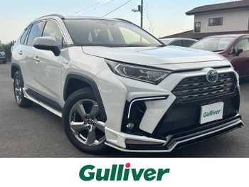 トヨタ ＲＡＶ４ ハイブリットG 純正SDナビ クルコン ETC Bカメラ LED