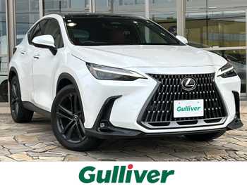 レクサス ＮＸ 250 バージョンL 純正ナビ クルコン 全方位 レーンキープ