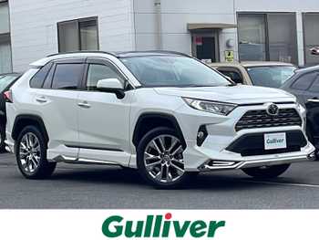 トヨタ ＲＡＶ４ G Zパッケージ モデリスタエアロ SR ナビ 全方位 レザー