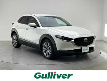 マツダ ＣＸ－３０ 20S プロアクティブ 純正SDナビ 全方位カメラ パワーバックドア