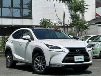レクサス ＮＸ 300h バージョンL スカイルーフ 革シート Rクルーズ 全方位C