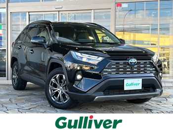トヨタ ＲＡＶ４ ハイブリッドG 全周囲カメラ ハンドルヒーター 衝突軽減