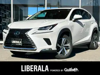 レクサス ＮＸ 300 Iパッケージ サンルーフ フルセグTV BカメBTドラレコ