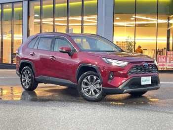トヨタ ＲＡＶ４ ハイブリッドG 純正ナビ 全方位カメラ BSM シートヒーター