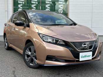 日産 リーフ e+ X アーバンクロム 200wケーブル3メートルETC全方位カメラ