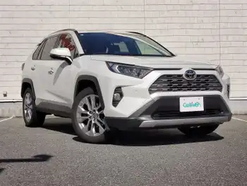 トヨタ ＲＡＶ４ G Zパッケージ 純正DA ナビ Bカメラ ドラレコ 衝突軽減