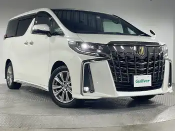 トヨタ アルファード S タイプゴールド 純正10型ナビ 後席モニター 両側電動 ETC