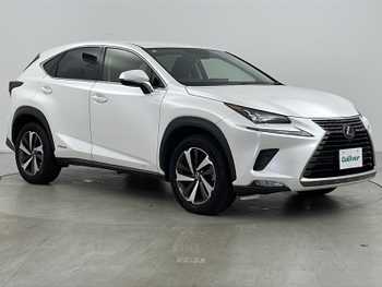 レクサス ＮＸ 300h バージョンL 純正ナビ  マクレビ  全方位カメラ