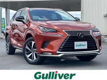 レクサス ＮＸ 300 スパイス&シック 純正ナビ・バックカメラ・PCS・ACC・BSM
