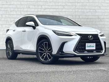レクサス ＮＸ 250 バージョンL 純ナビ パノラマルーフ 全方位モニタ 本革