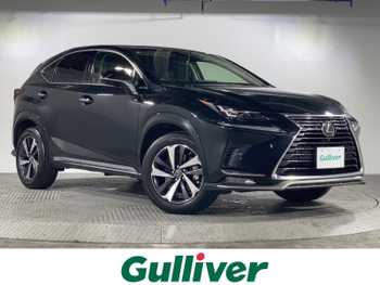 レクサス ＮＸ 300 スパイス&シック 禁煙車 純正ナビ サンルーフ 全方位 BSM