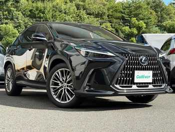 レクサス ＮＸ 250 バージョンL /禁煙車 /ワンオーナー マクレビ　Cソナー