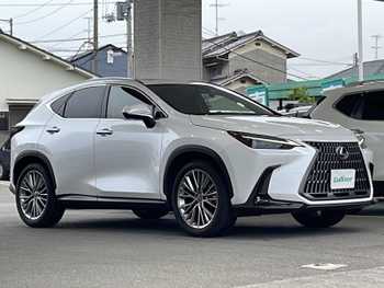 レクサス ＮＸ 250 バージョンL サンルーフ OPナビ 全方位カメラ ETC