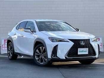 レクサス ＵＸ 250h Fスポーツ 純ナビ/Bカメ/ETC